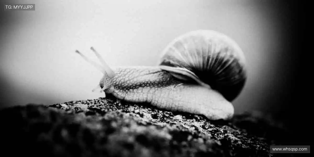 赛场瞬息万变，直播分秒必争！🏀